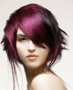 Professional-Hair-Color-244x300 Professional-Hair-Color-244x300