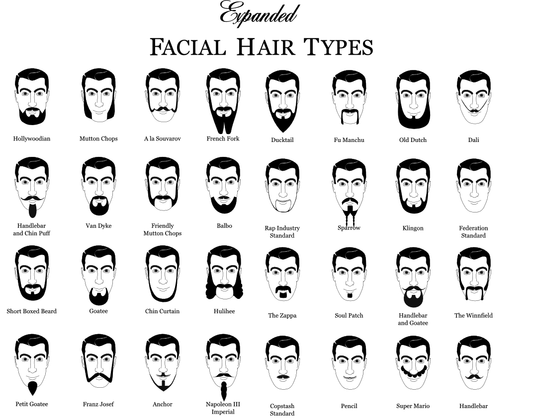 beard-chart-graphic-design-7 beard-chart-graphic-design-7